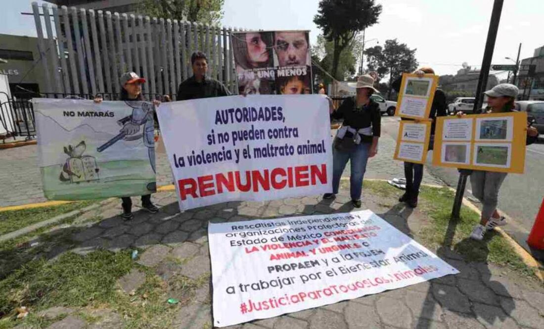 La agresión ocurrió en la colonia Héroes de 5 de Mayo en El Seminario, donde el dueño le ató un alambre al cuello de la hembra de Pitbull e hizo presión con su pie para matarla, relataron Karla y Sandra Fabiola | Foto: El Universal