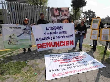 Activistas se manifiestan por mascota ahorcada en Edomex