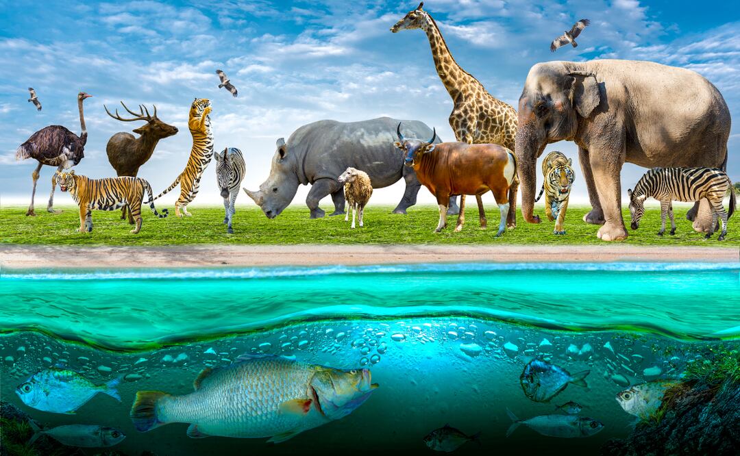 ¡La magia del arte cobra vida! Imagen ilustrativa