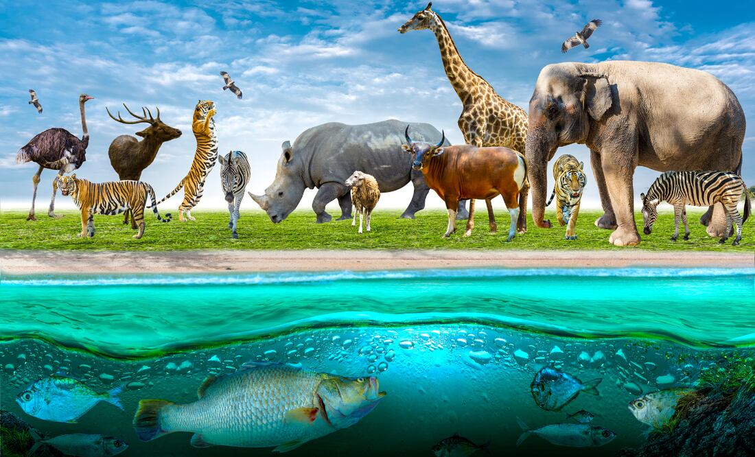 ¡La magia del arte cobra vida! Imagen ilustrativa