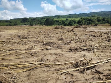 Huracán Priscilla afecta 30 por ciento de cultivos en la Huasteca 
