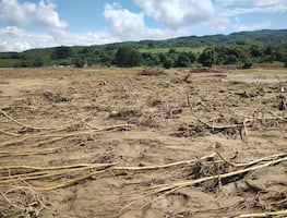 Huracán Priscilla afecta 30 por ciento de cultivos en la Huasteca
