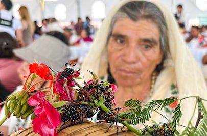 Tradición que se saborea: el orgullo de cocinar con lo que da la tierra