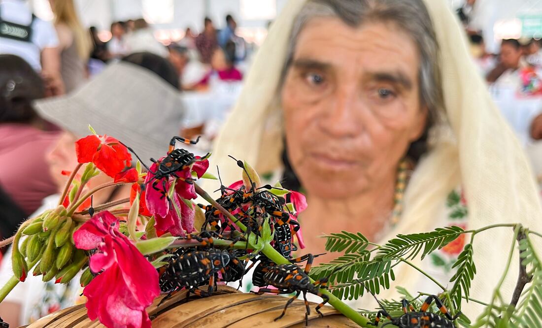 Foto: Ricardo Calleja