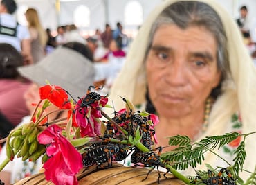 Tradición que se saborea: el orgullo de cocinar con lo que da la tierra