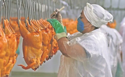 Pachuca recibe diariamente toneladas de pollo, podrá estar contaminado, alerta regidor