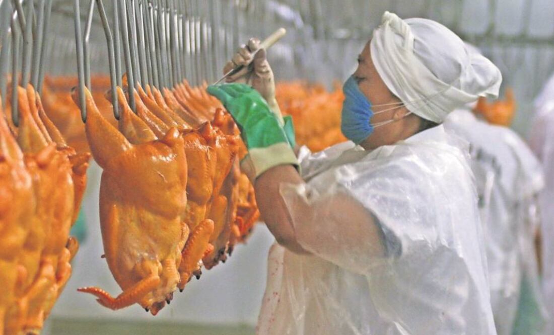 Foto: Archivo El Universal