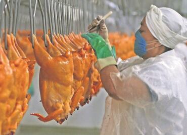 Pachuca recibe diariamente toneladas de pollo, podrá estar contaminado, alerta regidor