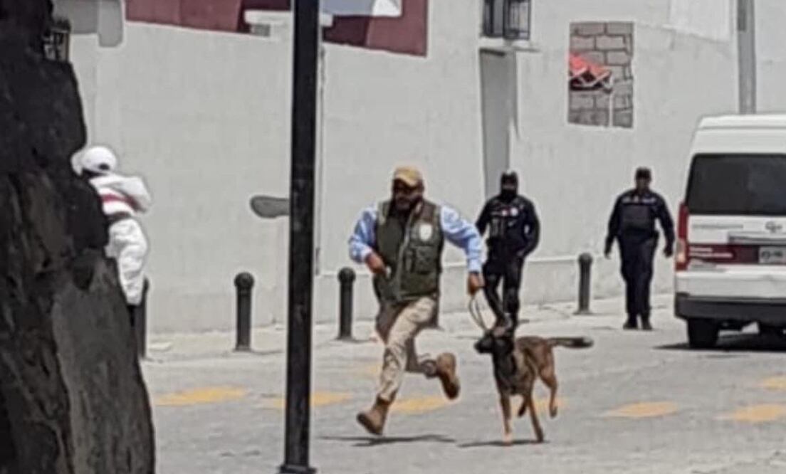 Con binomios caninos personal de migración ingresa a fraccionamientos para detener personas I Foto: Especial