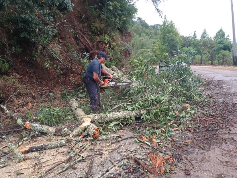 Lluvias del ciclón Alberto dejó fallas en suministro eléctrico, caída de piedras y árboles | Foto: Especial