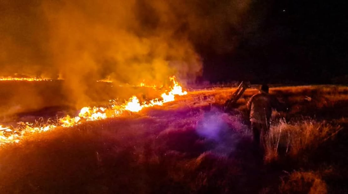 Controlan incendio en El Llano Segunda Sección; afectó 10 hectáreas de pastizal | Foto: Especial