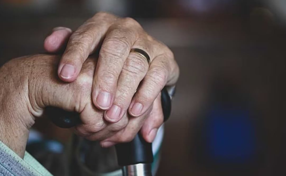 Las personas adultas mayores de 65 años tienen derecho a recibir por parte del Estado una pensión no contributiva en los términos que fije la ley. Foto: Pixabay