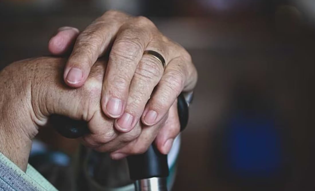 Las personas adultas mayores de 65 años tienen derecho a recibir por parte del Estado una pensión no contributiva en los términos que fije la ley. Foto: Pixabay
