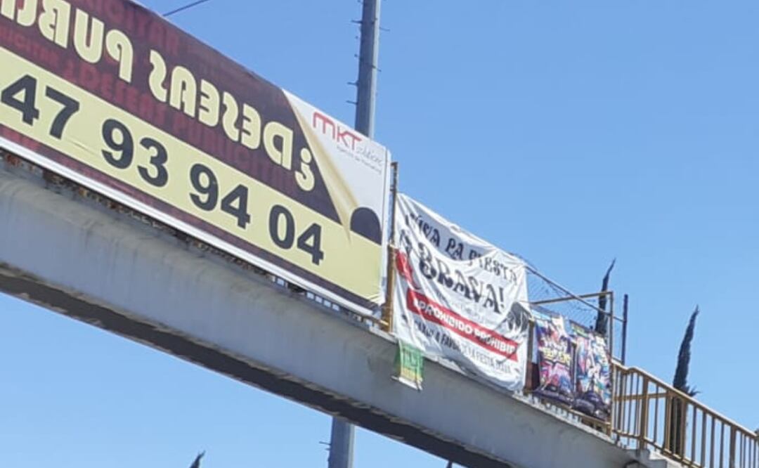 En marzo pasado, el Congreso de Hidalgo presentó una iniciativa para prohibir las corridas de toros, al considerarlas una forma de maltrato animal | Foto: Erika Gutierrez