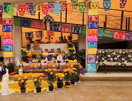 Personas adultas mayores celebran el talento y la tradición con concurso de altares