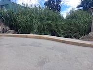A más de dos años del colapso, puente histórico de Ixmiquilpan sigue sin ser rehabilitado