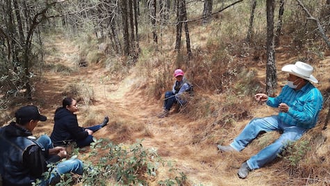 Forman brigadas comunitarias para proteger bosques en la región Pachuca–Tulancingo