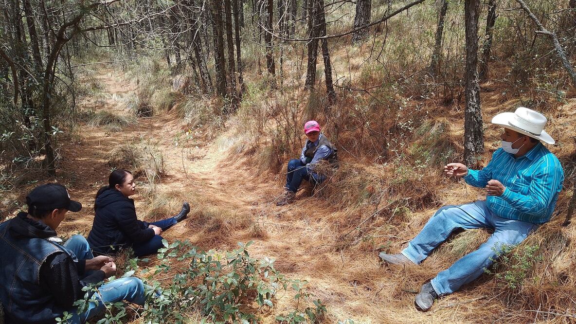 Facebook: Silvicultores Tulancingo