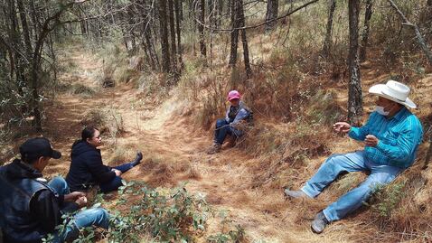 Forman brigadas comunitarias para proteger bosques en la región Pachuca–Tulancingo