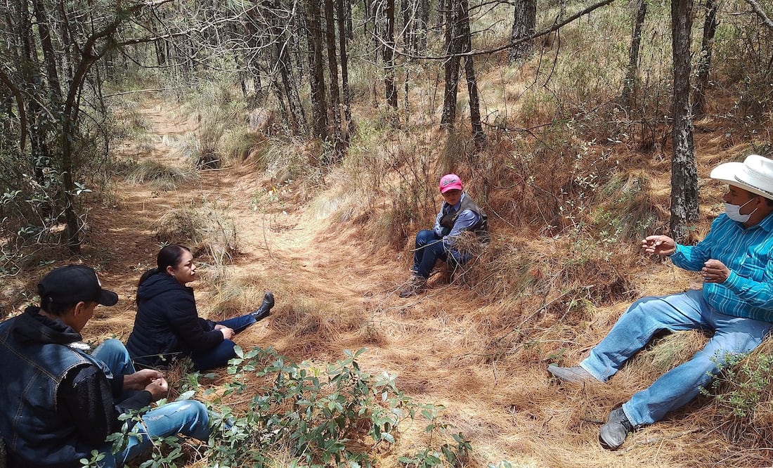 Facebook: Silvicultores Tulancingo