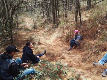 Forman brigadas comunitarias para proteger bosques en la región Pachuca–Tulancingo