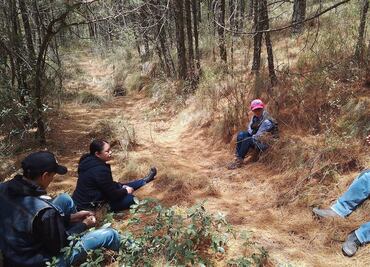 Forman brigadas comunitarias para proteger bosques en la región Pachuca–Tulancingo