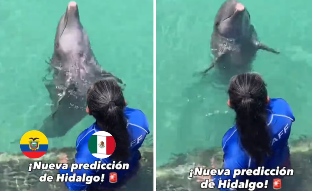 El Delfín Hidalgo se ha vuelto popular en las redes sociales I Foto: Especial