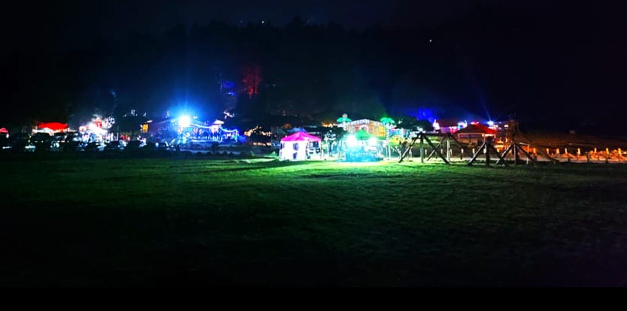 Foto: Bosque iluminado 2023