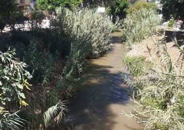 En el olvido proyecto del Arroyo Pallares en Ixmiquilpan