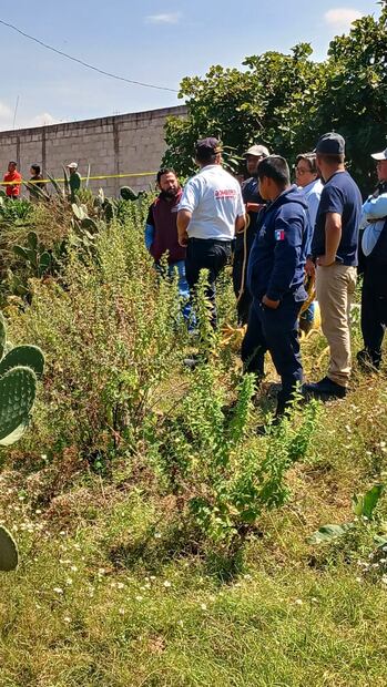 Capturan cocodrilo de 1.5 metros en Santiago Tulantepec | Facebook: Santiago Tulantepec 2024 - 2027 / DIF Municipal