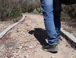 Niñez y jóvenes migrantes, los más afectados por políticas de Trump: Investigador