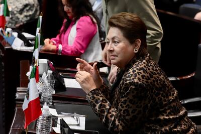 Recursos y concientización empresarial podrían abatir la contaminación: Carmen Lozano