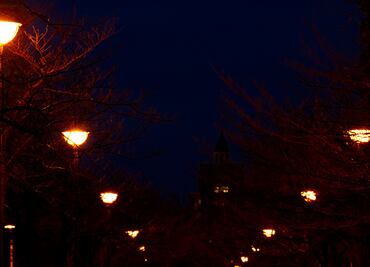 Para disminuir costos, colocarán lámparas ahorradoras en Ixmiquilpan