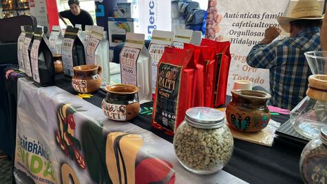 Alrededor de 25 mil hectáreas producen café en Hidalgo