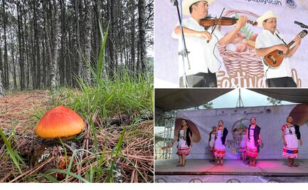 Inauguran séptima edición del Festival del Hongo en Epazoyucan