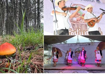 Inauguran séptima edición del Festival del Hongo en Epazoyucan