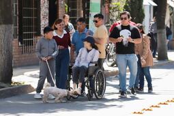 Pachuca y Mineral de la Reforma concentran casi 30 por ciento de denuncias por violencia familiar 