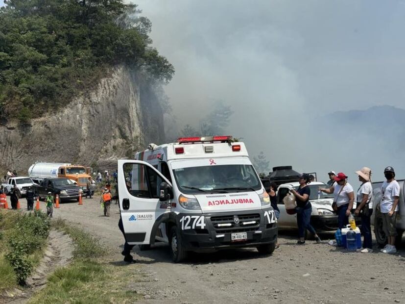 De los incendios registrados en Tenango de Doria solo está controlado el de Palo Gacho | Foto: Especial