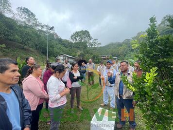 ¡Cultivando el Futuro! Citricultura orgánica en la Huasteca