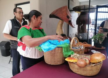 Visitantes internacionales y del país se esperan en el noveno Festival del Hongo y la Manzana