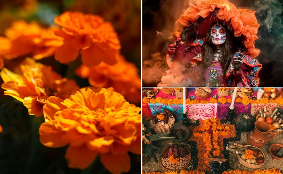 Todo comienza mucho antes del Día de Muertos | Fotos: Pexels