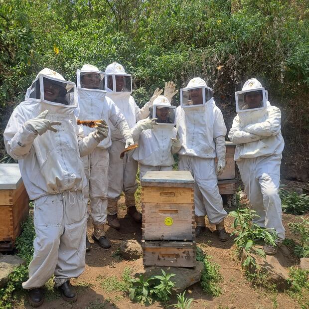 El lugar donde podrás vivir la experiencia de ser apicultor | Facebook: Salvando Abejas CDMX