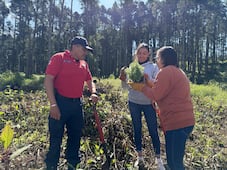 Hidalgo inicia reforestación con 2 millones de plantas para restaurar ecosistemas