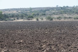 Previo a la temporada de lluvia, doce municipios enfrentan nivel bajo de sequía 