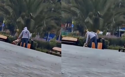 Indignación en Pachuca por caso de maltrato animal en Plaza Juárez