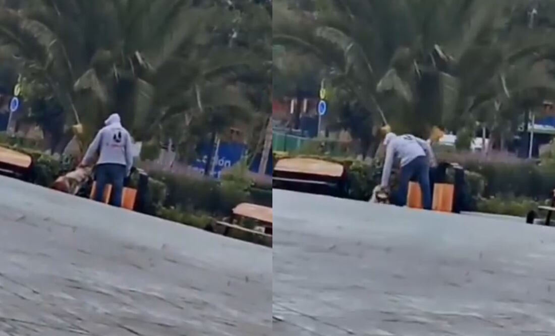 Denuncia al 800 912 1314 si presencias un acto de violencia contra animales | Capturas de video