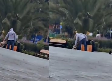Indignación en Pachuca por caso de maltrato animal en Plaza Juárez