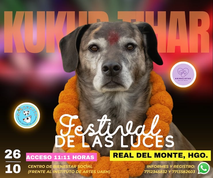 Real del Monte ilumina su espíritu con el “Kukur Tihar: Festival de las Luces” | Facebook: Santuario Cuatro Patitas Un Corazon