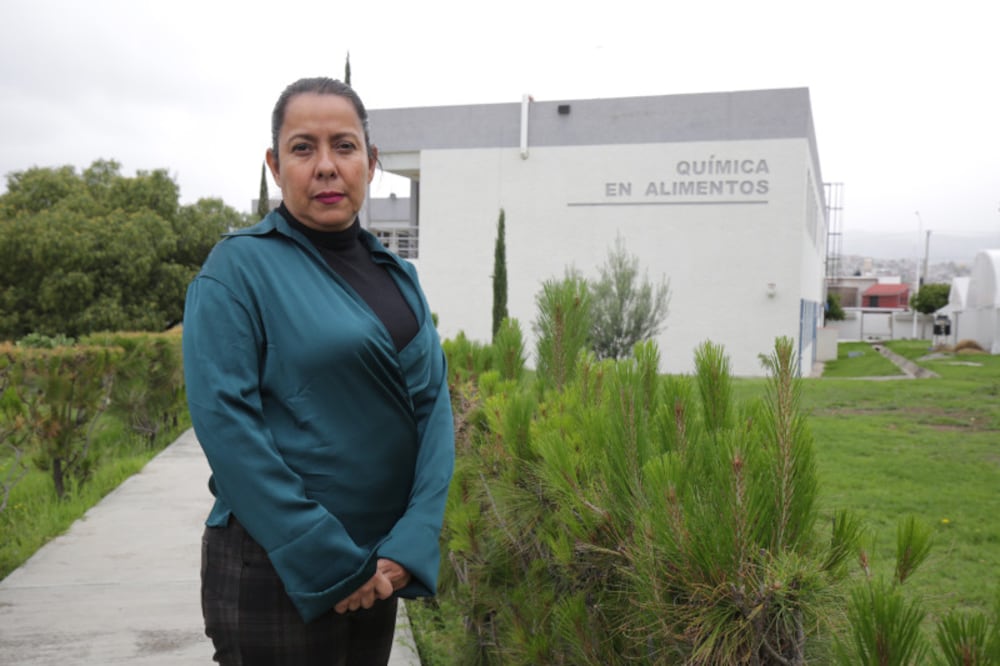 Alma Delia Román Gutiérrez, profesora investigadora del Instituto de Ciencias Básicas e Ingeniería (ICBI) de la Universidad Autónoma del Estado de Hidalgo (UAEH) I Foto: Especial