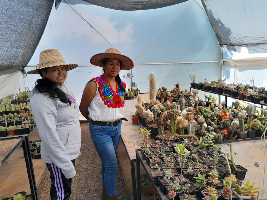 Foto: Erika Gutierrez